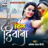 Abhishek Gautam Jimmy - Dil Diwana - Single